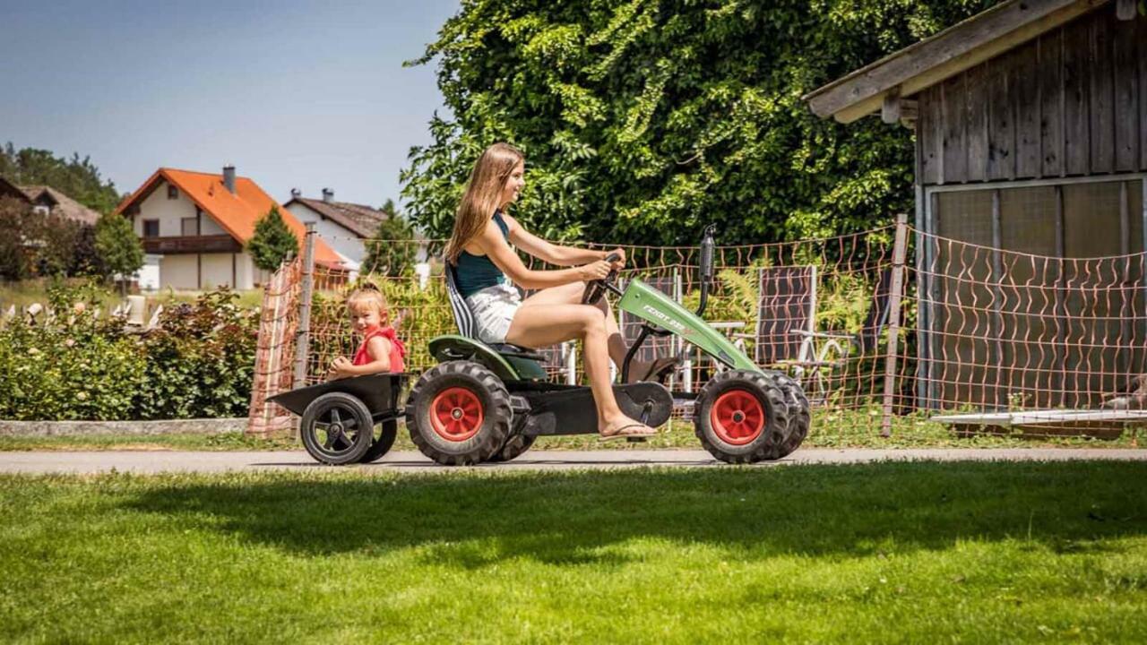 Urlaub Am Regen - Ferienhof Dirnberger Nittenau Ngoại thất bức ảnh